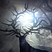 Shadow and Bone - galeria zdjęć - filmweb
