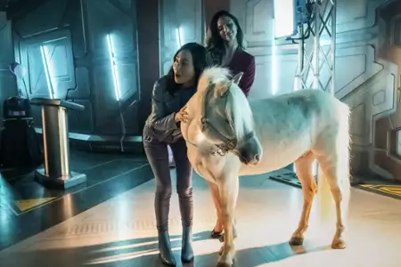 Legends of Tomorrow - galeria zdjęć - filmweb