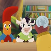 Interrupting Chicken - galeria zdjęć - filmweb