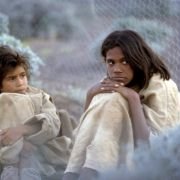 Polowanie na króliki - galeria zdjęć - filmweb