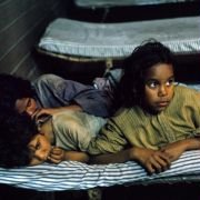 Polowanie na króliki - galeria zdjęć - filmweb