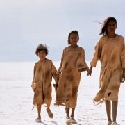 Polowanie na króliki - galeria zdjęć - filmweb