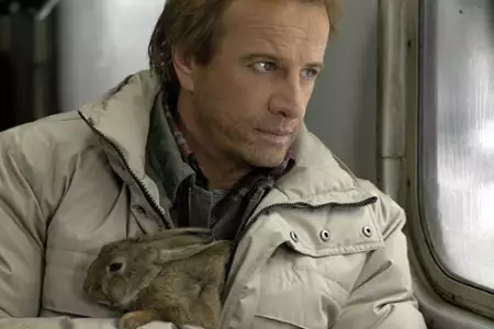 Le Lièvre de Vatanen - galeria zdjęć - filmweb