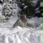 Le Li&egrave;vre de Vatanen - galeria zdjęć