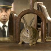 Le Lièvre de Vatanen - galeria zdjęć - filmweb