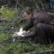 Le Lièvre de Vatanen - galeria zdjęć - filmweb