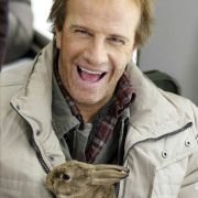 Le Lièvre de Vatanen - galeria zdjęć - filmweb