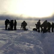 Le Lièvre de Vatanen - galeria zdjęć - filmweb