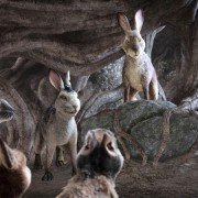 Watership Down - galeria zdjęć - filmweb