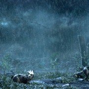 Watership Down - galeria zdjęć - filmweb