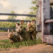 Watership Down - galeria zdjęć - filmweb