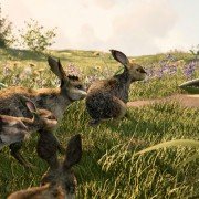 Watership Down - galeria zdjęć - filmweb