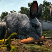 Watership Down - galeria zdjęć - filmweb