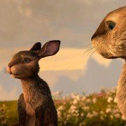 Watership Down - galeria zdjęć - filmweb