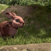 Watership Down - galeria zdjęć - filmweb