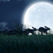 Watership Down - galeria zdjęć - filmweb
