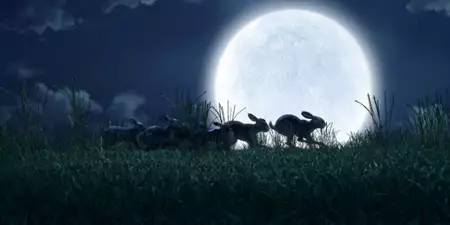 Wodnikowe wzgórze - galeria zdjęć - filmweb