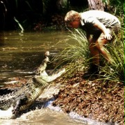 Łowca krokodyli - galeria zdjęć - filmweb