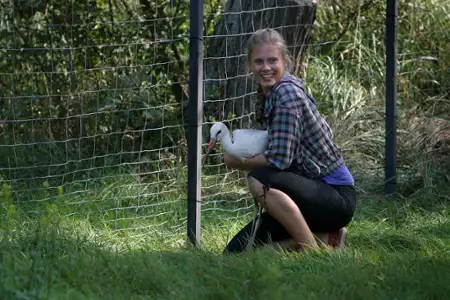 Blondynka - galeria zdjęć - filmweb