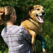 Blondynka - galeria zdjęć - filmweb