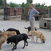 Blondynka - galeria zdjęć - filmweb
