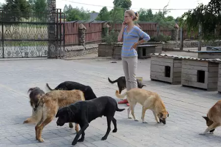 Blondynka - galeria zdjęć - filmweb