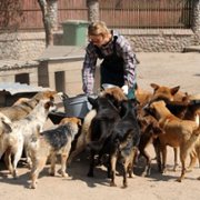 Blondynka - galeria zdjęć - filmweb