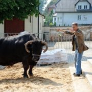 Blondynka - galeria zdjęć - filmweb