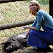 Blondynka - galeria zdjęć - filmweb