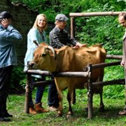 Blondynka - galeria zdjęć - filmweb