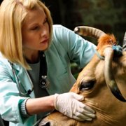 Blondynka - galeria zdjęć - filmweb
