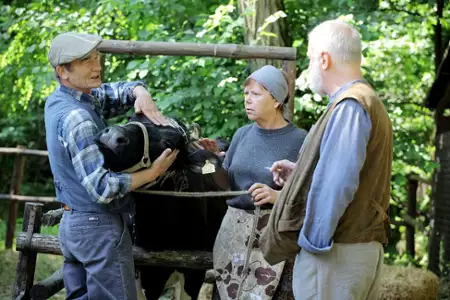 Blondynka - galeria zdjęć - filmweb