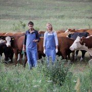 Blondynka - galeria zdjęć - filmweb