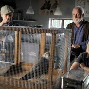 Blondynka - galeria zdjęć - filmweb