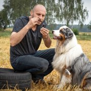Blondynka - galeria zdjęć - filmweb
