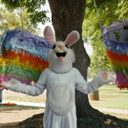 Magic for Humans - galeria zdjęć - filmweb