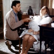 Accident - galeria zdjęć - filmweb