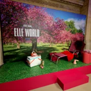 Elle - galeria zdjęć - filmweb
