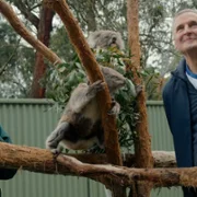Somebody Feed Phil - galeria zdjęć - filmweb
