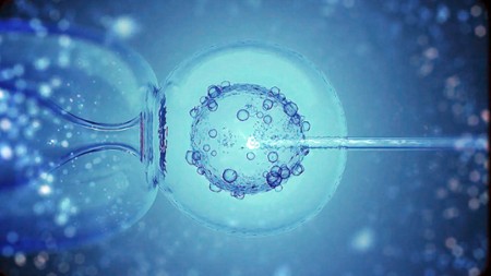Sezon 2 Odcinek 9 Zapłodnienie in vitro