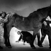 A Day at the Races - galeria zdjęć - filmweb