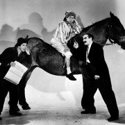 A Day at the Races - galeria zdjęć - filmweb