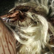 Gutterballs - galeria zdjęć - filmweb