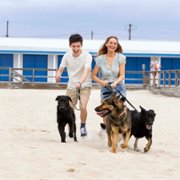 Bez urazy - galeria zdjęć - filmweb