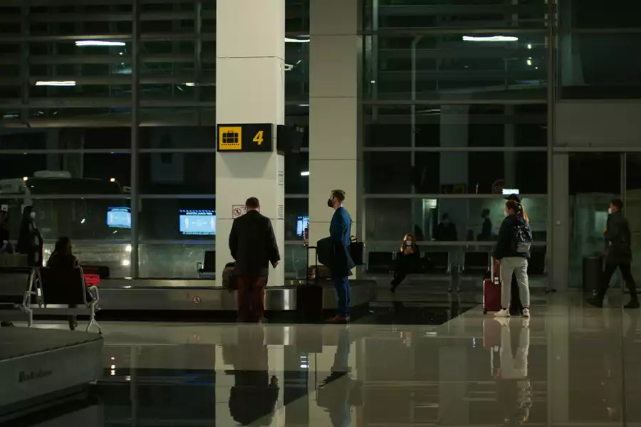 Cisza w koronach drzew - galeria zdjęć - filmweb