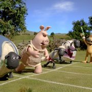 Shaun the Sheep Championsheeps - galeria zdjęć - filmweb