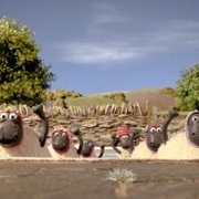 Baranek Shaun: SportOwiec - galeria zdjęć - filmweb