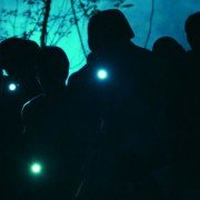 Inara, the Jungle Girl - galeria zdjęć - filmweb
