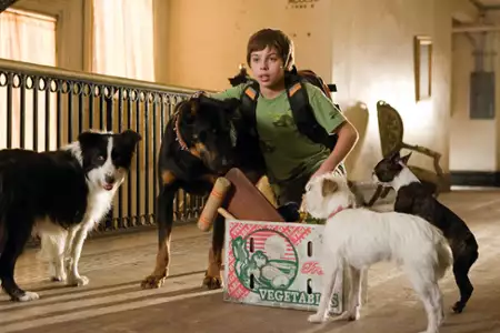 Hotel dla psów - galeria zdjęć - filmweb
