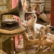 Hotel for Dogs - galeria zdjęć - filmweb